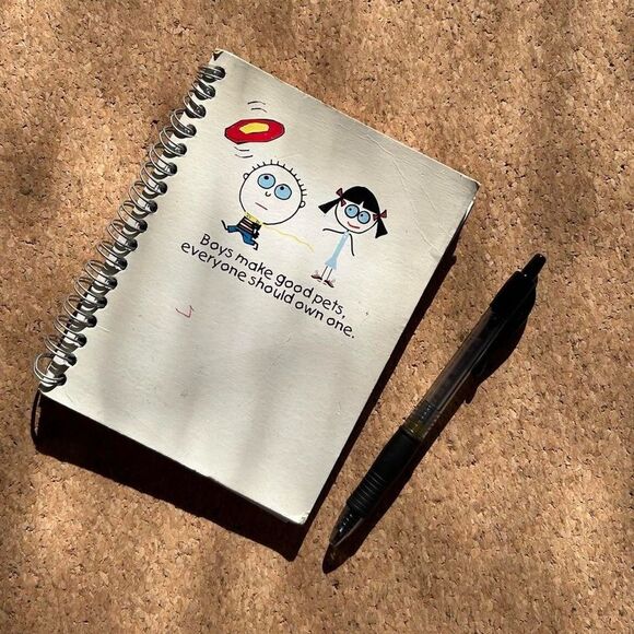 2006 Vintage ‘Boys Make Good Pets’ David & Goliath Spiral Notebook Journal - Picture 2 of 6